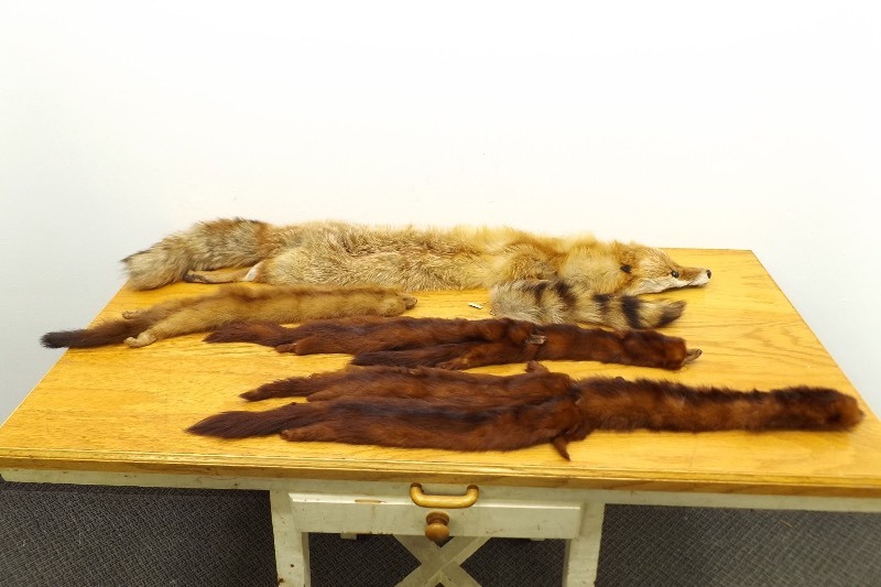 lot 26 image: Authentic Mink, Fox, etc. Pelts