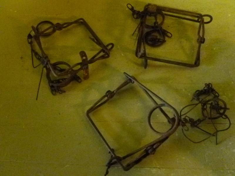lot 119 image: Conibear Traps