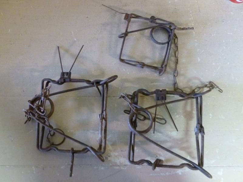 lot 120 image: Conibear Traps