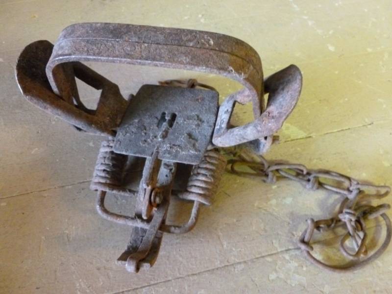 lot 194 image: Vintage Trap