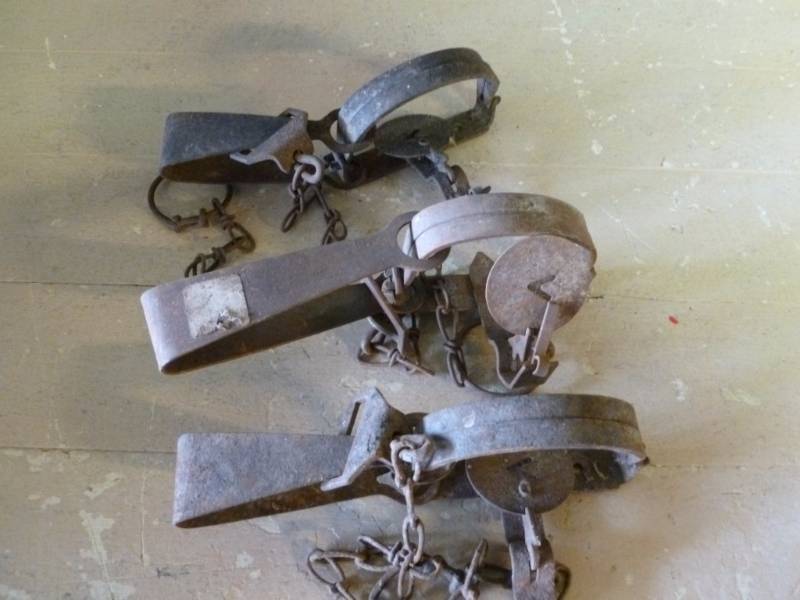 lot 197 image: Vintage Traps