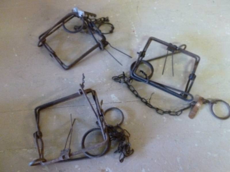 lot 226 image: Conibear Traps