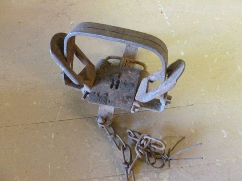 lot 229 image: Vintage Trap