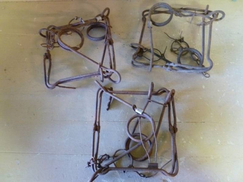 lot 230 image: Conibear Traps