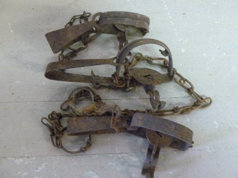 lot 237 image: Vintage Traps
