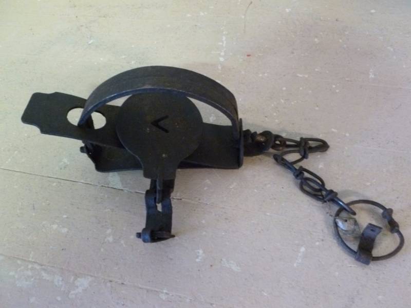 lot 239 image: Vintage Trap