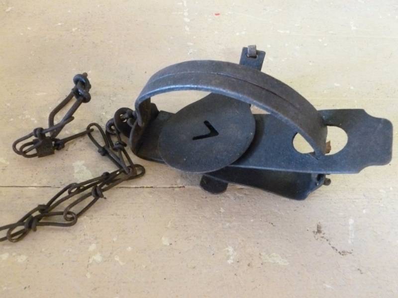lot 241 image: Vintage Trap