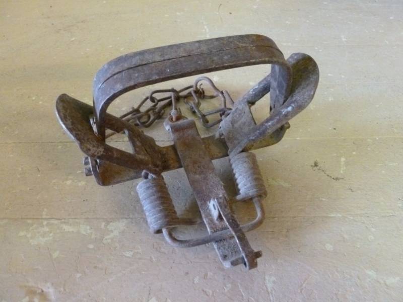lot 242 image: Vintage Trap