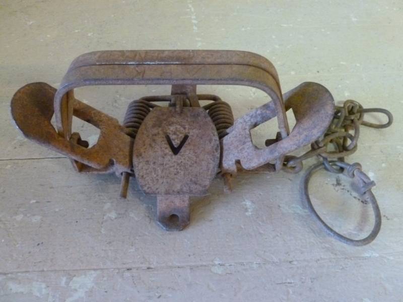 lot 248 image: Vintage Trap