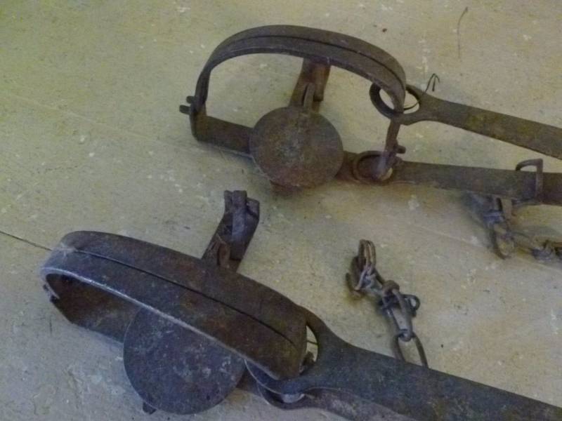 lot 250 image: Vintage Traps