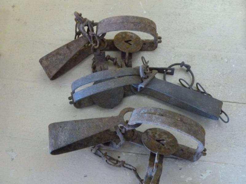 lot 254 image: Vintage Traps