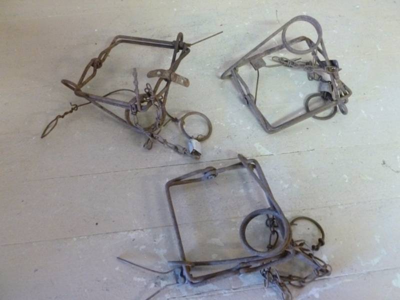 lot 257 image: Conibear Traps