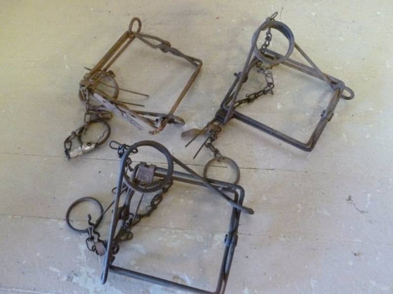 lot 258 image: Conibear Traps