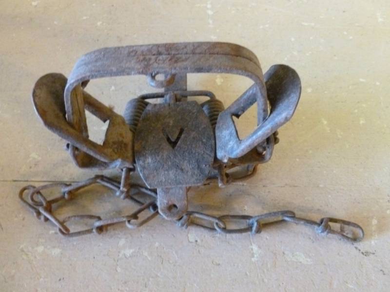 lot 262 image: Vintage Trap
