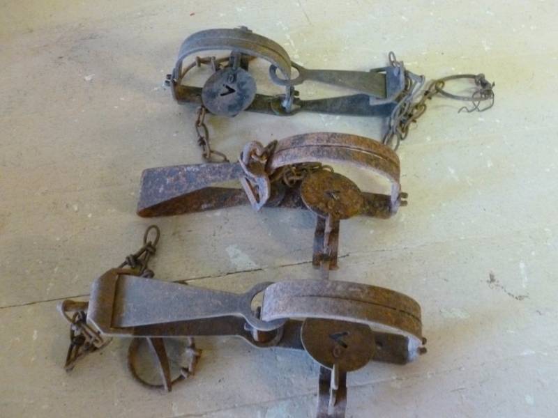 lot 264 image: Vintage Traps