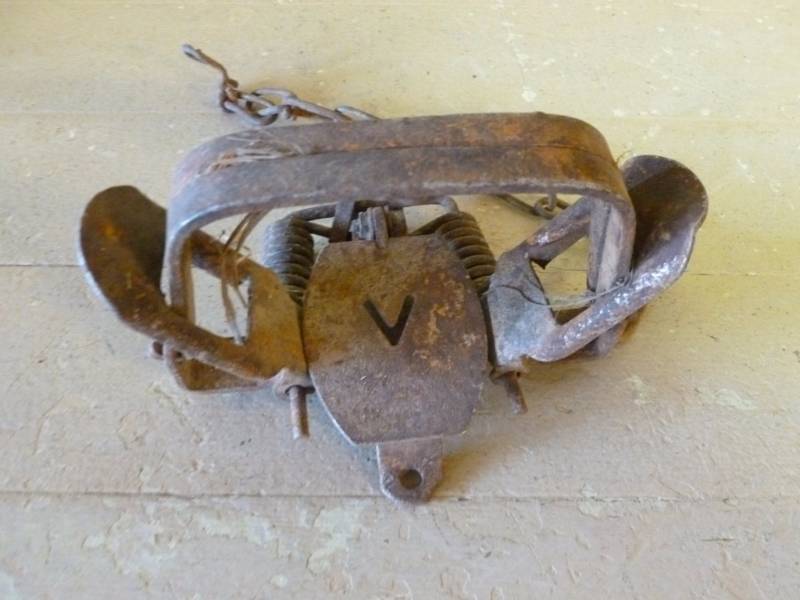 lot 266 image: Vintage Trap