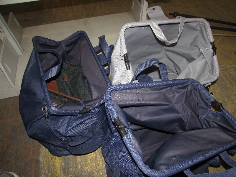 lot 20 image: TravelCarry Totes