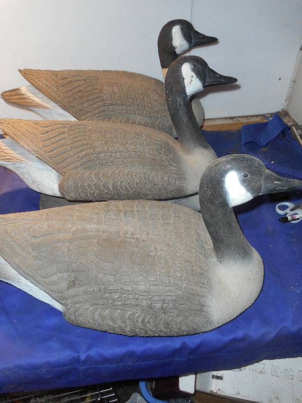 3 LARGE GOOSE DECOYS
