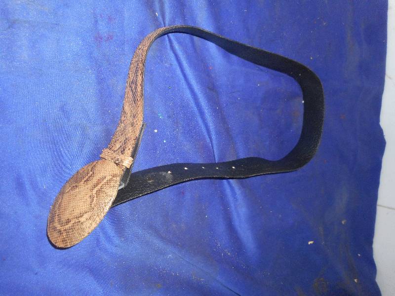 SNAKE SKIN BELT AND BUCKLE