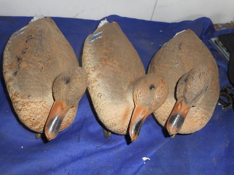 3 DUCK DECOYS
