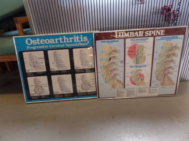 FRAMED INFORMATIONAL WALL CHARTS
