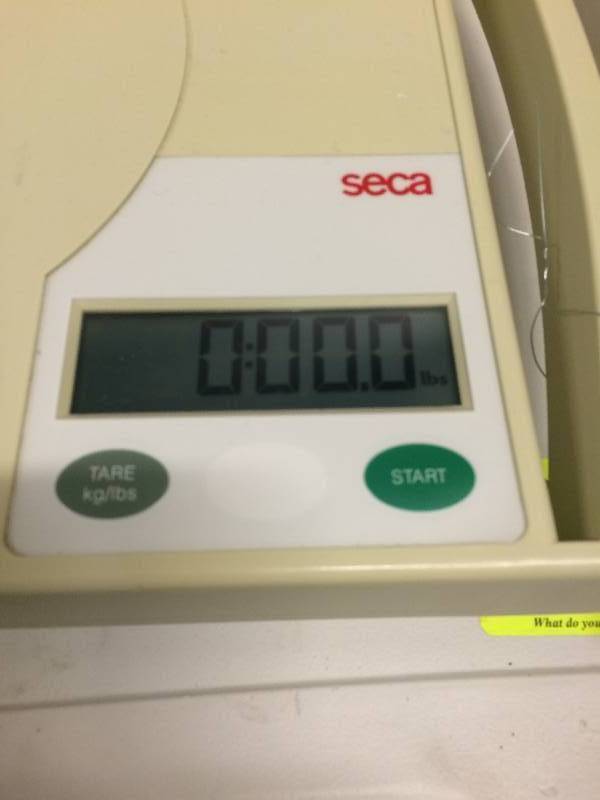lot 38 image: Retails New $500 Seca Tabletop Precision High Perfomance Scale OBGYN Pediatric Medical Clinic Infant Baby Small Animal Puppy Scale Digital Excellent Condition