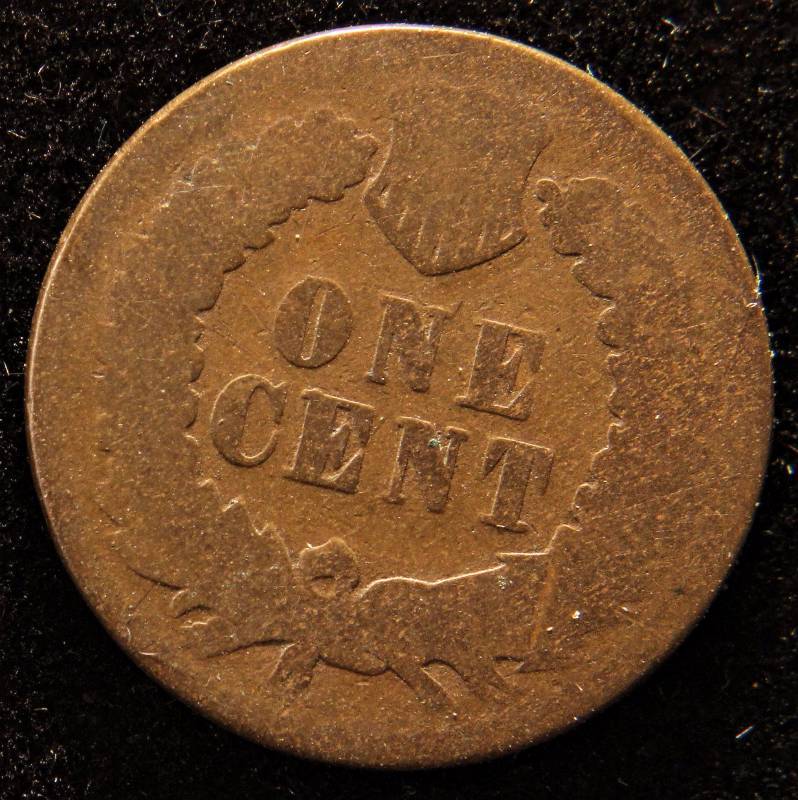 lot 54 image: 1876 INDIAN HEAD CENT