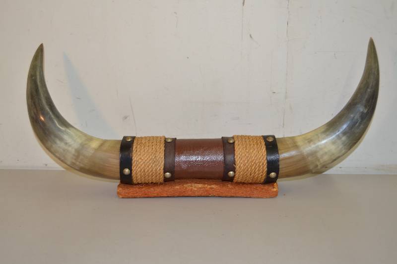 lot 24 image: Horns
