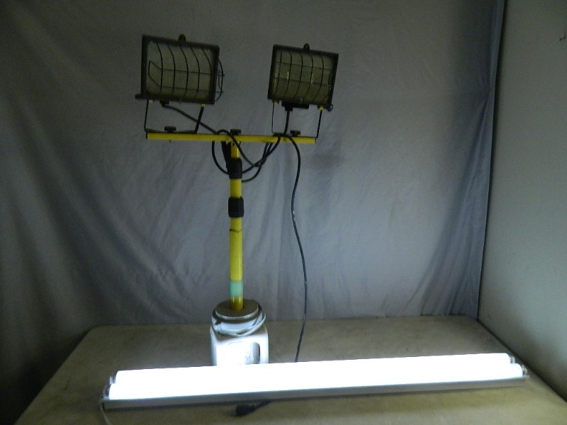 lot 62 image: Halogen Lights and Work Light