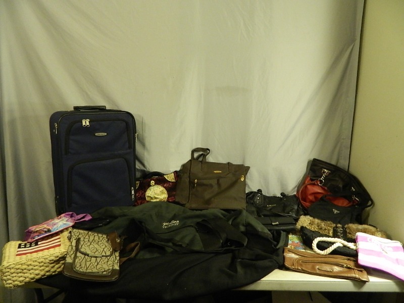 lot 162 image: Luggages, Purses, and More