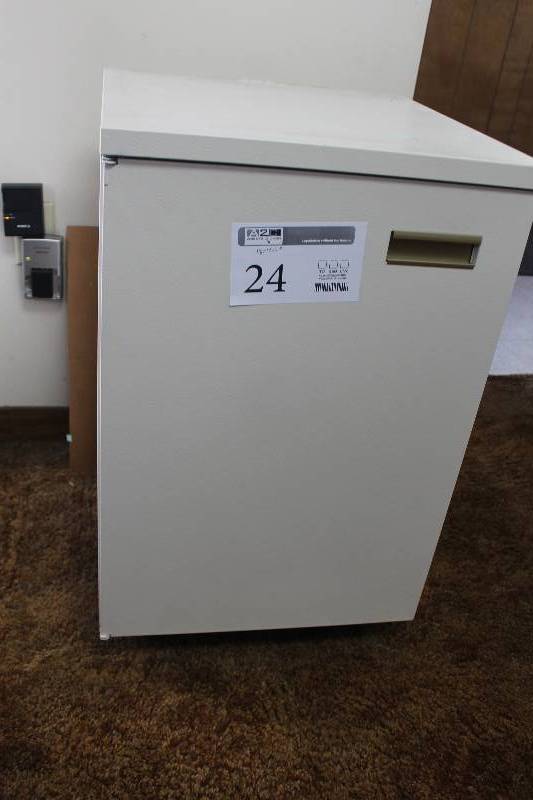 lot 24 image: 4-Wheel 1-Door 2-Shelf Cabinet