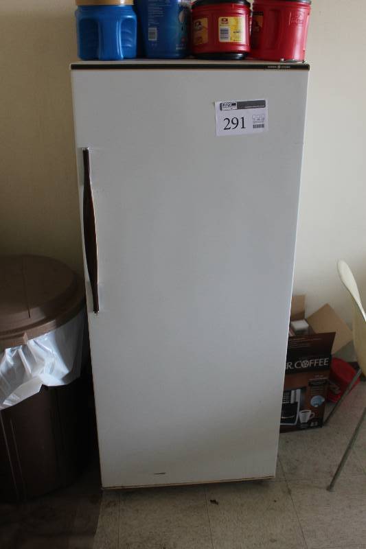 lot 291 image: GE Mini Refrigerator