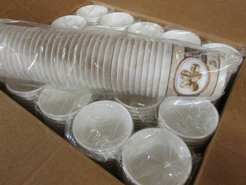 Case of 1000 Dixie Insulated 10 oz ...