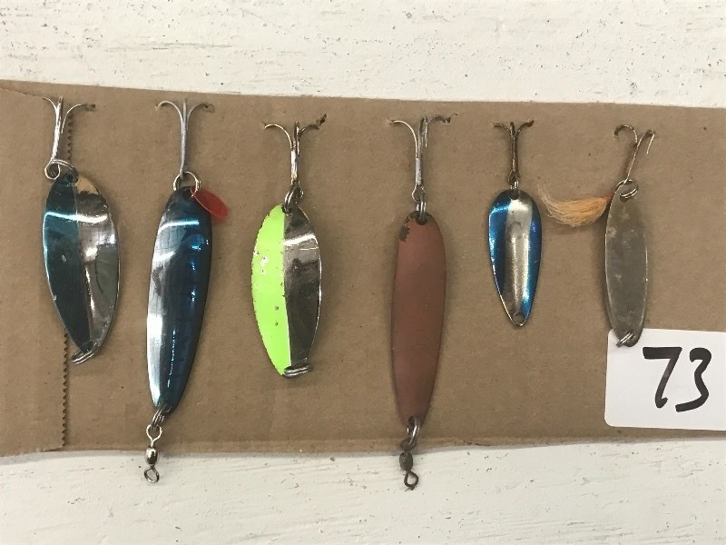 (6) Assorted Spoon Lures ...