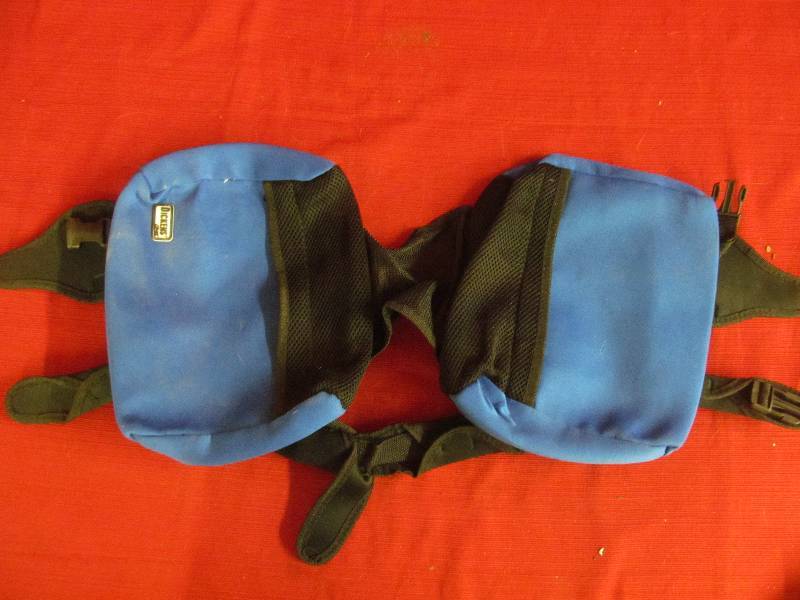lot 96 image: Dickens closet dog pack