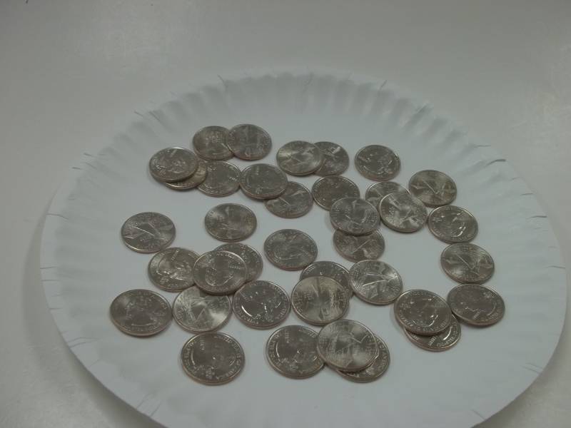 Assorted State Quarters