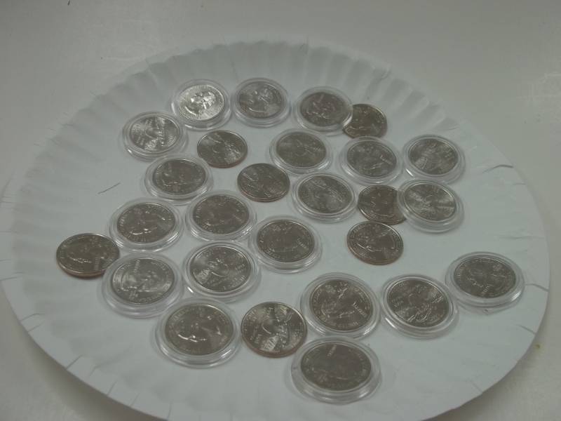 Assorted State Quarters