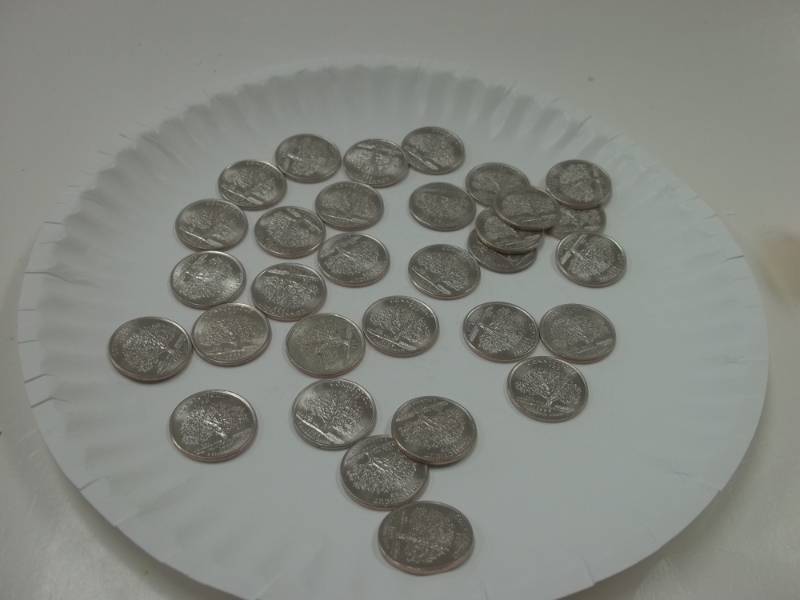 Assorted State Quarters