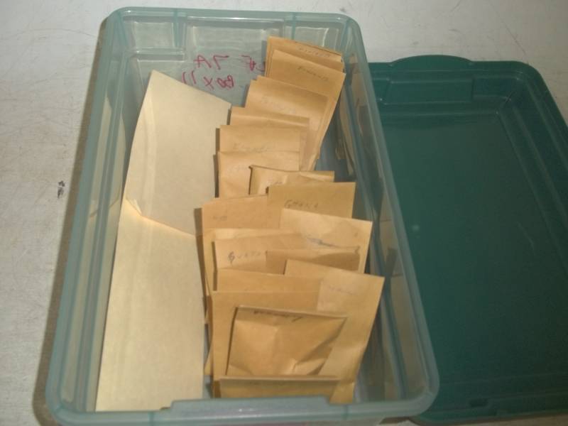 Sorted Foreign Coins
