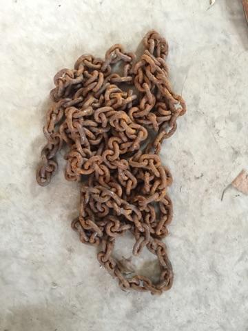 Log chain and ratchet chain binder