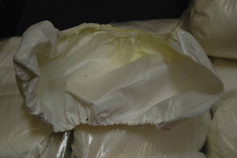 Tyvek BootShoe Covers