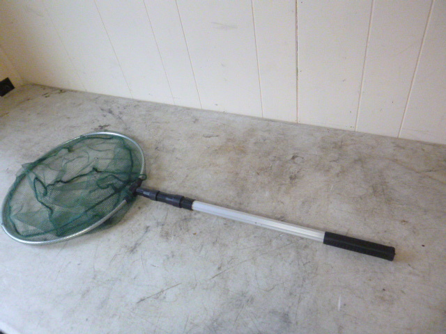 Telescoping MinnowLanding Net