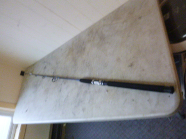 Megmaster Black Gold Fishing Rod