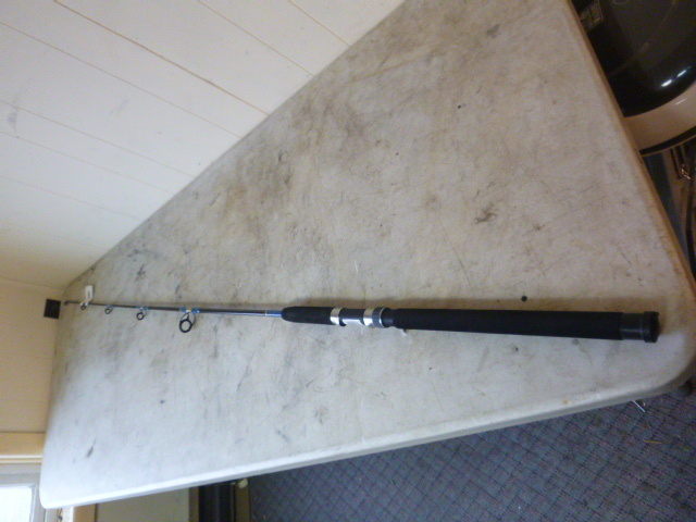 Megmaster Black Gold Fishing Rod