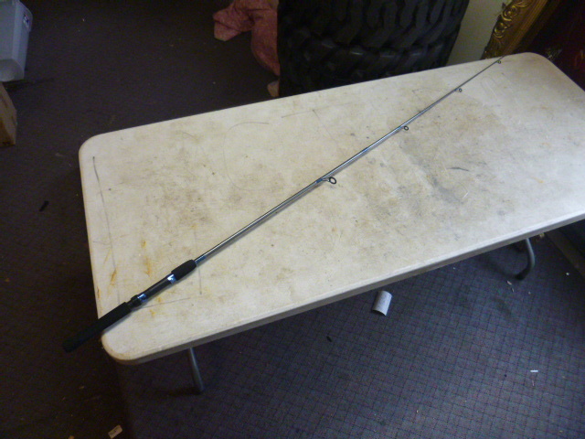 Dolphin Fishing Rod