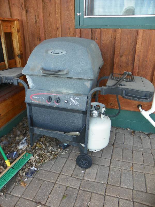 lot 197 image: Fiesta Gas Grill