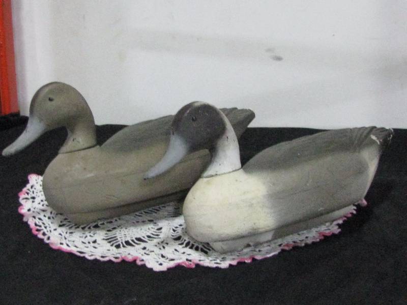 lot 19 image: Pintail Decoys