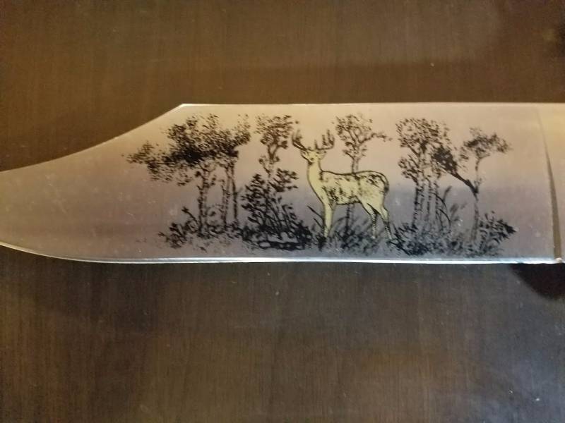 lot 52 image: Wildlife Knife Mounted on Wood Frame