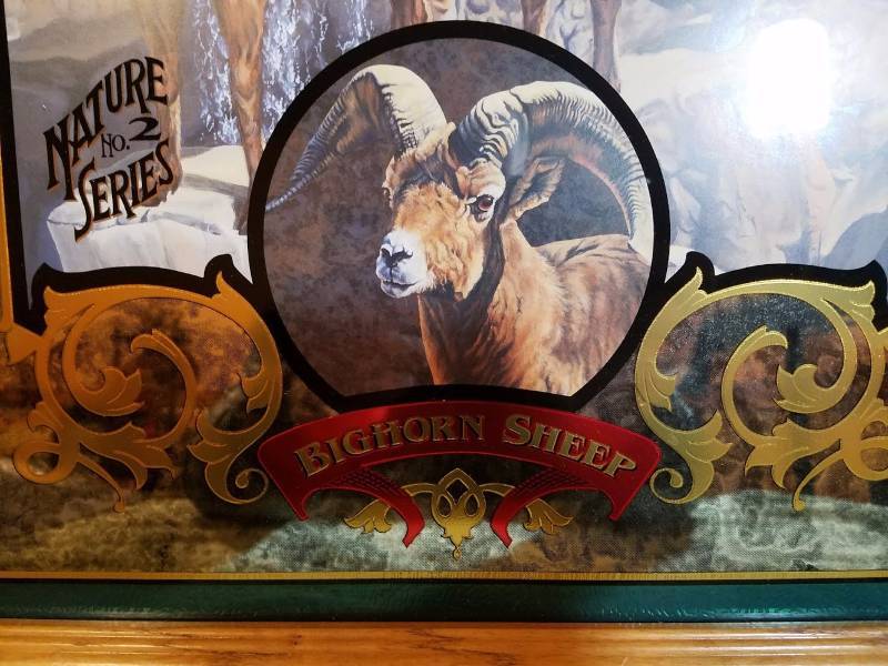 lot 12 image: Coors Nature Series #2 Big Horn Sheep  Lmtd. Edition