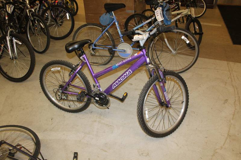 Magna Great Divide 20in. Bike